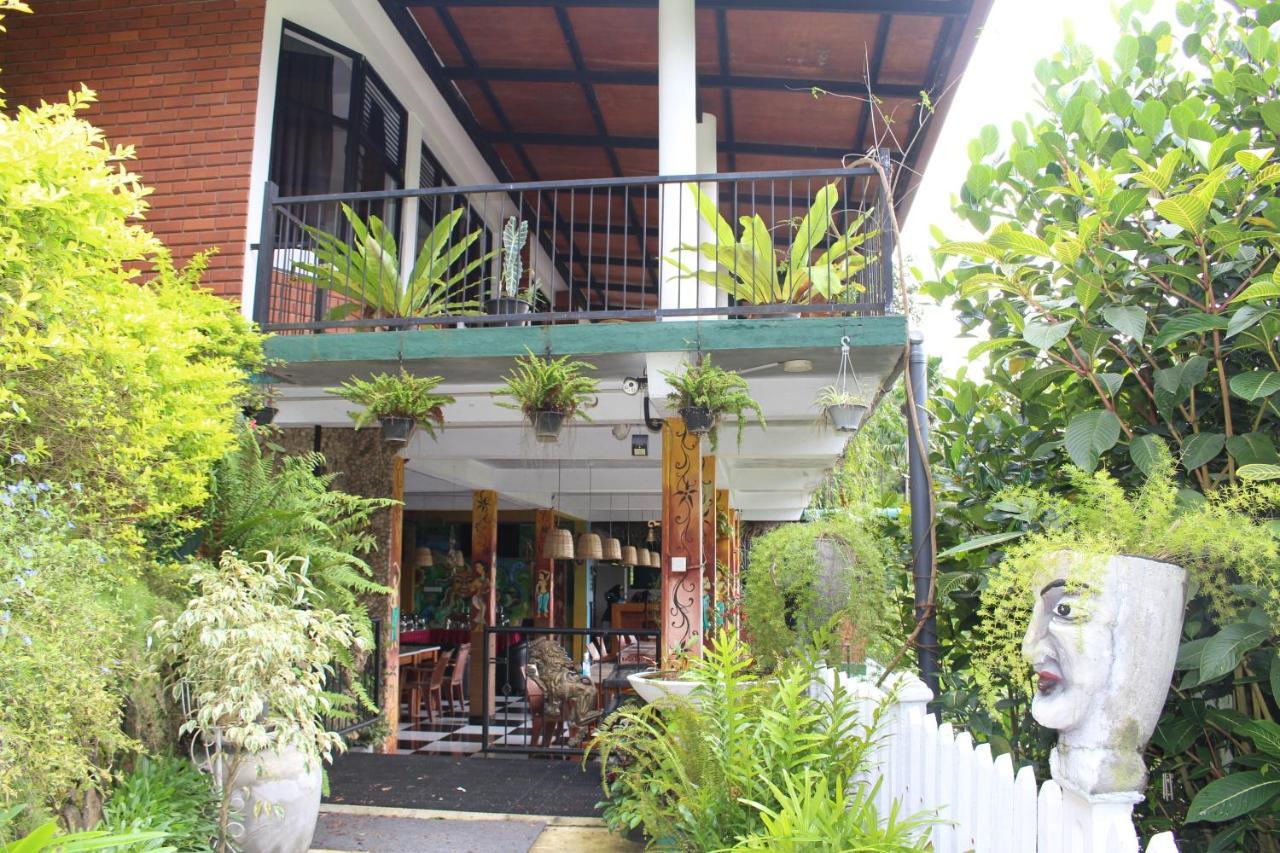 Rock Side Inn - Ella Exterior foto